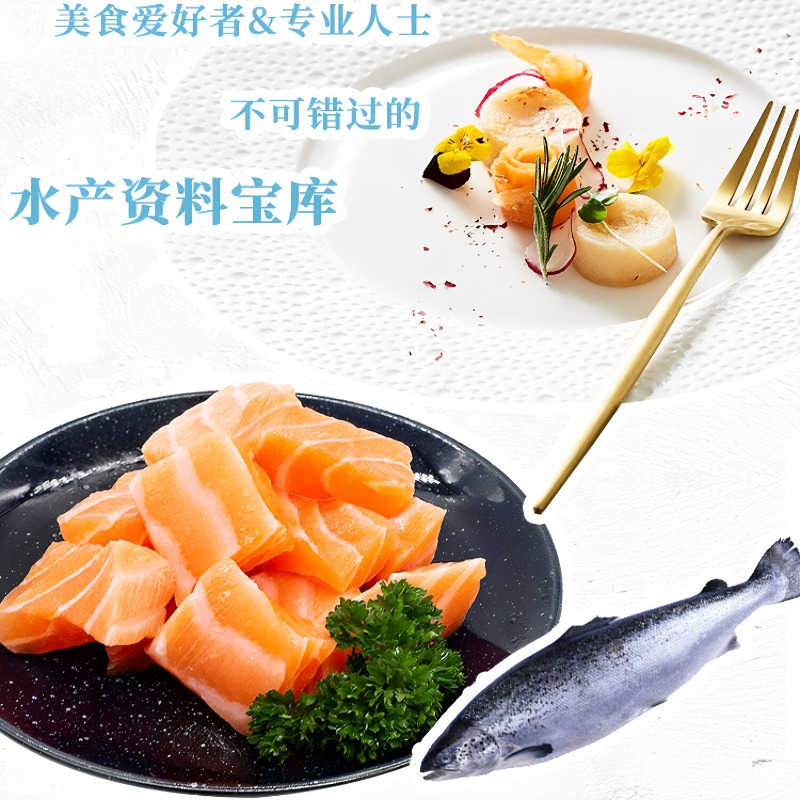 Seafood Cookbook DK 300 Classi - Home Cooking Cookbook recension och pris